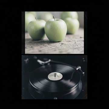 Cover av låten rolando