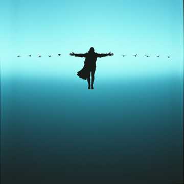 Cover des Liedes A madár