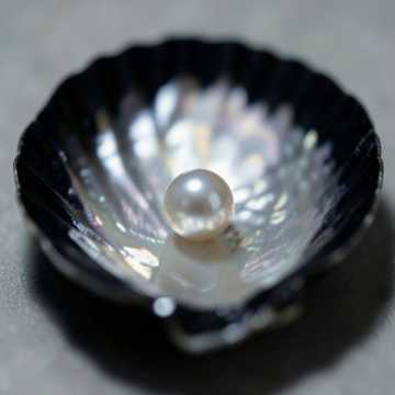 Couverture de la chanson ليلةٍ من قربك