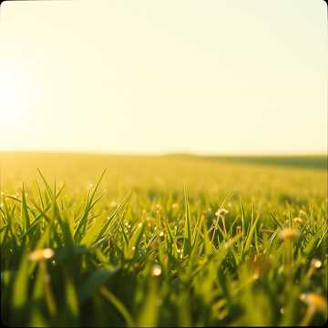 Portada de la canción Dzień taki jasny