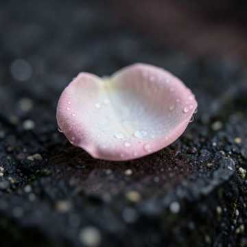 Cover av låten اغنيه