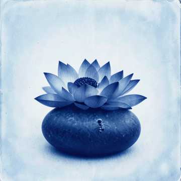 Cover of the song Phoolon se Tazgi