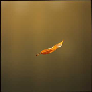 Cover of the song Zene