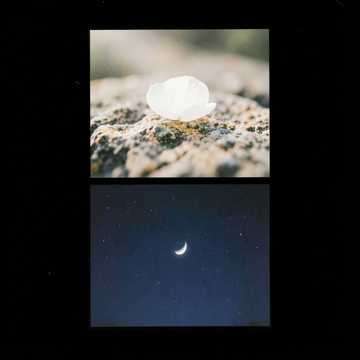Cover utworu قلبي معك