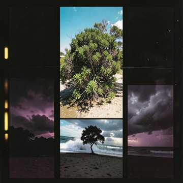 Cover van het nummer Albero di luca