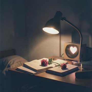 Cover van het nummer Direito na Saudade