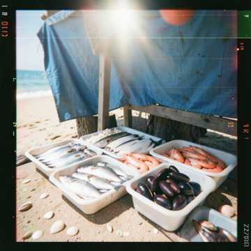 Bìa bài hát Pescados Alina