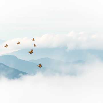 Cover utworu ภูผาหมอก