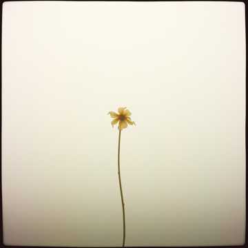 Cover of the song Válaszolj