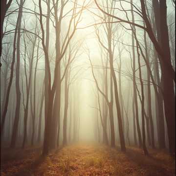 Cover av låten Inspiração