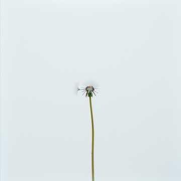 Bìa bài hát maskrosbarn