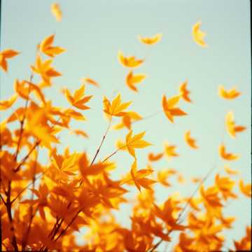 Cover av låten В НОЯБРЕ