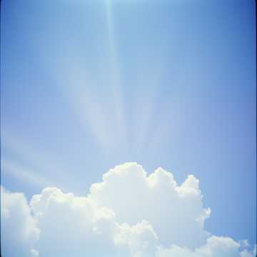 Cover van het nummer Falling Into You