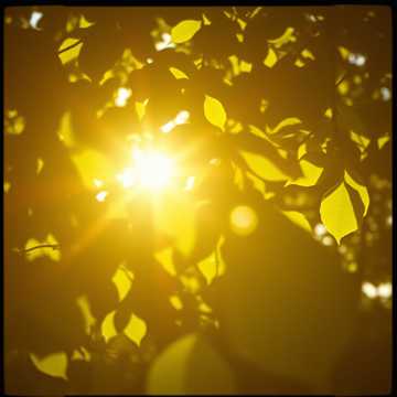 คัฟเวอร์เพลง 햇살같은 그대