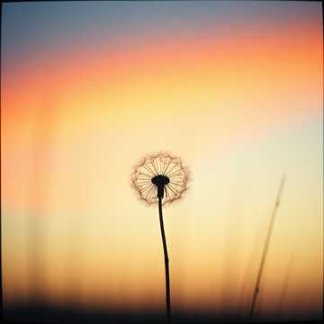 Cover of the song تو