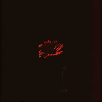 Cover van het nummer She Must Die