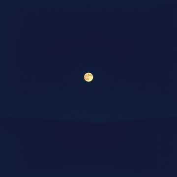 A dal borítója От укуса, кровь холодеет по жилам