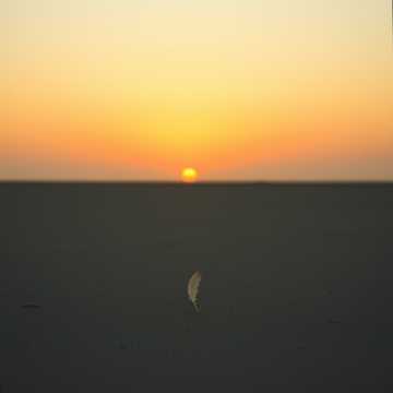 Cover av låten Чудесный сон