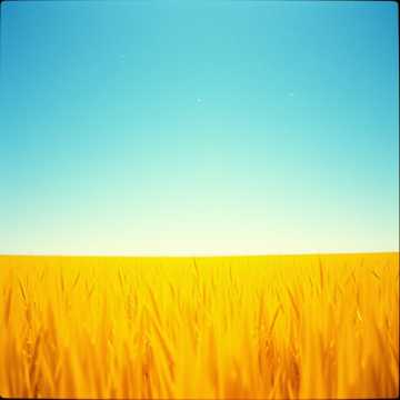 Cover van het nummer Нурлан и Мадина