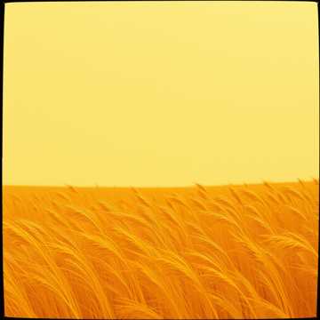 غلاف الاغنية Молочная мелодия