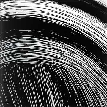 Portada de la canción VIVENDO EM FELICIDADE