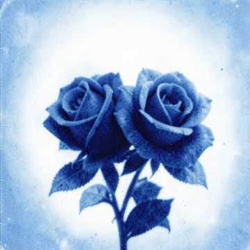 Cover of the song محمد الدولة وندى الحبسي