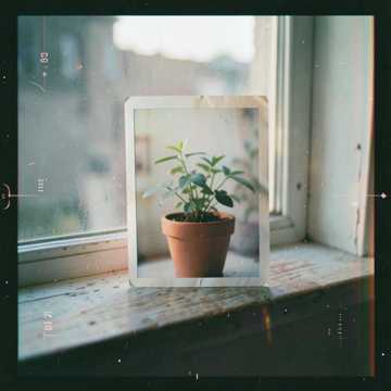 Cover of the song Solo mio