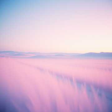 Copertina della canzone Scintille