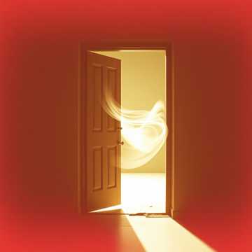 Copertina della canzone FBVDSD2035220OJL1105-1