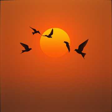 Cover of the song Tango della donna