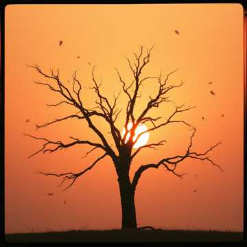 คัฟเวอร์เพลง Тень любви