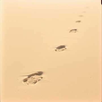 Cover van het nummer A legszebb dolog