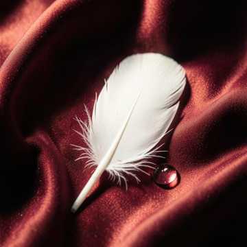 Cover van het nummer زينة