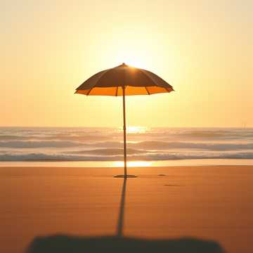 Cover of the song I am free