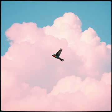 Portada de la canción Lass Mich Fliegen