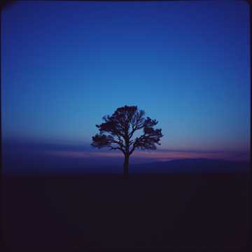 Cover of the song sh