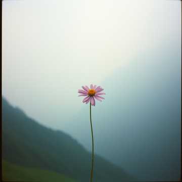 Copertina della canzone Where Did You Go?