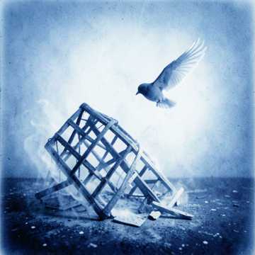Couverture de la chanson দেহ-পাখি কোথায় যায় উড়ে!